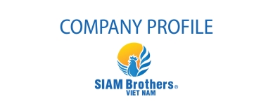 COMPANY PROFILE