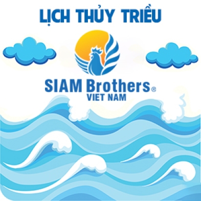 Lịch thủy triều 15/01/2025 (16/12/2024 âm lịch)