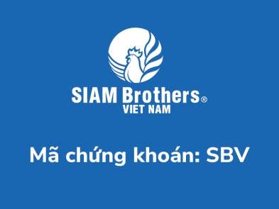 SBV công bố quyết định xử phạt vi phạm hành chính về thuế