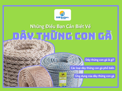 Dây Thừng Con Gà: Những Điều Bạn Cần Biết Về Dây Thừng Top 1 Hiện Nay